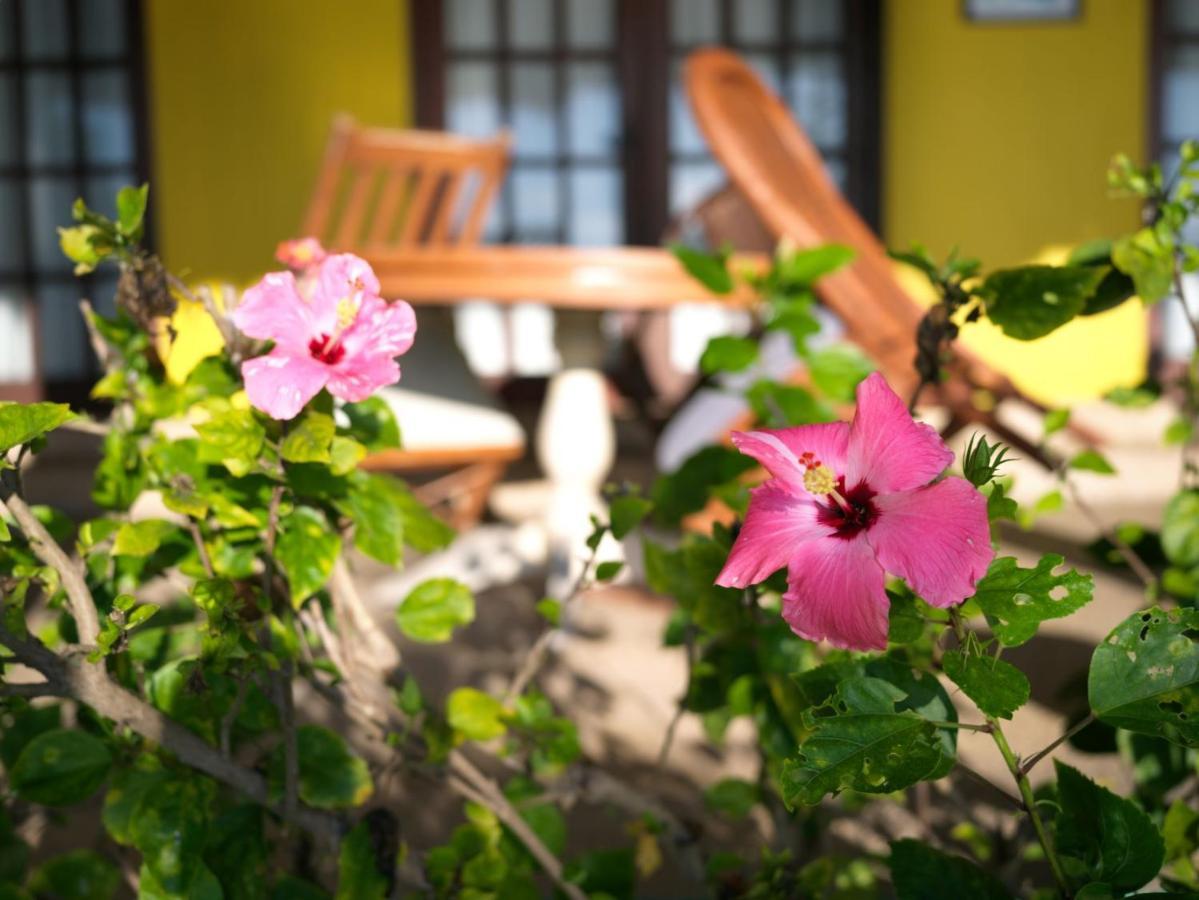 Las Flores Beachside Hotel Catmon Εξωτερικό φωτογραφία